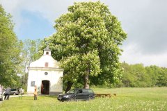 pohled zepředu 