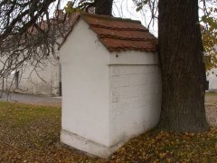 pohled zezadu zleva