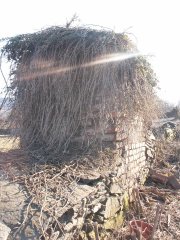 pohled zprava