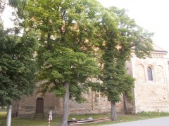 pohled zprava
