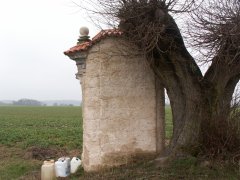 pohled zezadu