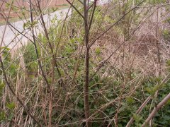 pohled zezadu zprava