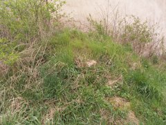 pohled zepředu zleva