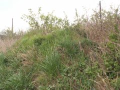 pohled zepředu zprava