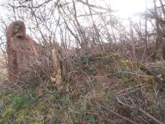 pohled zepředu zprava