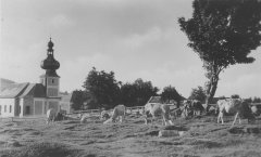 historické foto kaple (vpravo od kostela, nad kravským hřbetem)