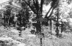 historické foto hřbitova