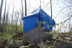 pohled zezadu zleva