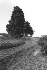 historické foto kaple