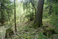 trosky kaple