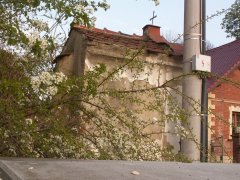 pohled zezadu zleva