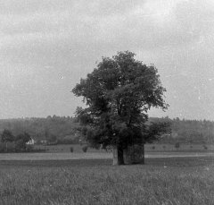 výřez kaple z předchozí fotografie