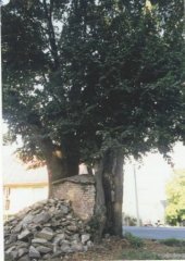 kaplička před demolicí