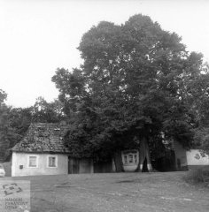historické foto kapličky
