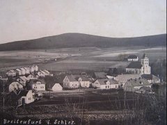 historické foto kapličky (za vsí, vlevo od středu)