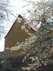 pohled zezadu zleva