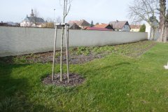 půdorys zbořeného kostela vyznačený záhonem