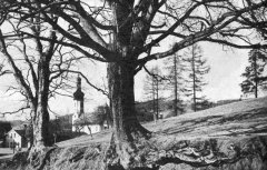 historické foto kostela