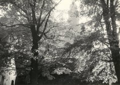 historické foto kostela