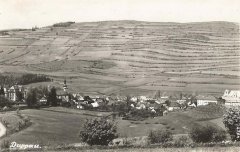 historické foto vsi s kostelem (vlevo od středu)