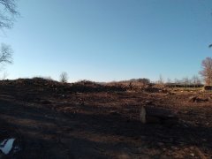 místo kostela vyčištěné od náletových dřevin