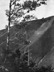 Vřesová Studánka po sesuvu půdy dne 1.6.1921