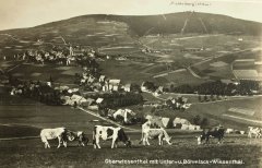 pohled na ves s kostelem (vlevo od středu)