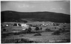 dobová pohlednice vsi s kostelem