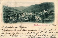 dobová pohlednice vsi s kostelem (vpravo v pozadí)