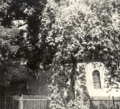 historické foto kostela