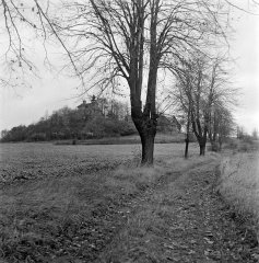 celkový pohled na Boží Vrch