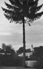 historické foto kostela