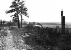 historické foto kaple (vlevo od dvojice stromů)