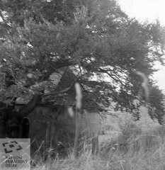 historické foto kaple