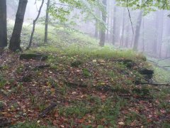 pohled zepředu