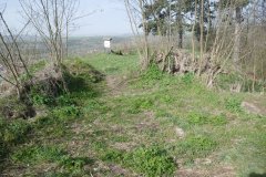 pohled do interiéru - přední část