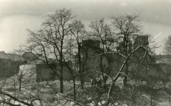 torzo lodi