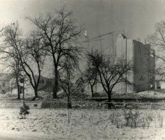 torzo lodi