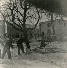 torzo lodi