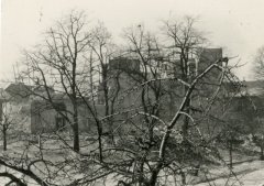torzo lodi