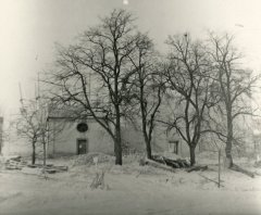 torzo lodi