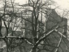 torzo lodi