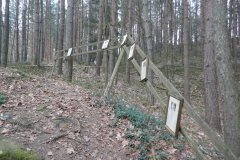 provizorní křížová cesta u kaple