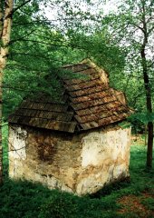 pohled zezadu zleva