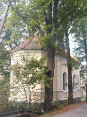 pohled zezadu zleva