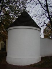 pohled zezadu