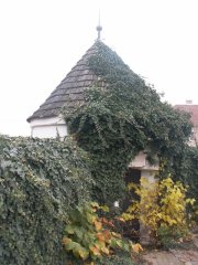 pohled zepředu zleva