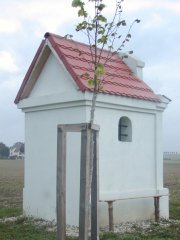 pohled zezadu zleva