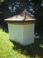 pohled zezadu zleva