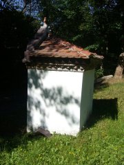 pohled zezadu zprava